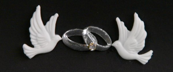 Taubenpaar mit Ringen
